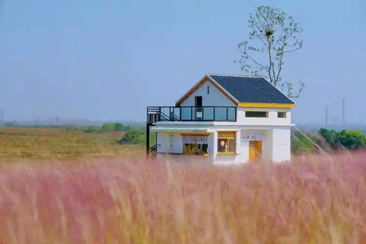 岛屿来信有你一封#笔记灵感  #合肥小岭南  #周末