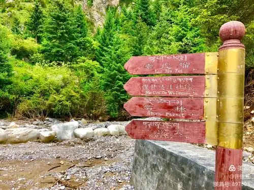 九色甘南～扎尕那(三)