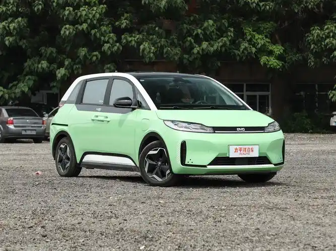 比亚迪d1 2021款 领创版报价_图片_参数配置_比亚迪汽车王朝网(洛阳陆