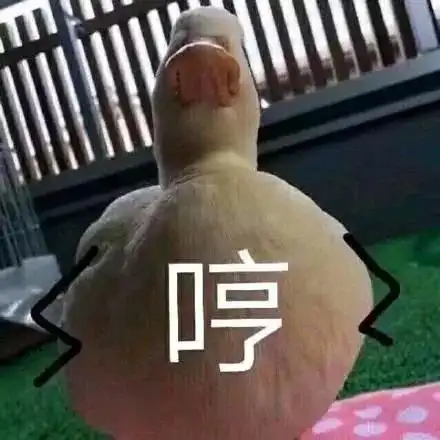 最近很火的鸭子表情包12张今天也爱你鸭