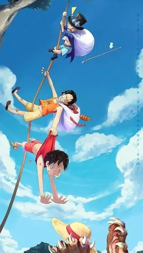 海贼王.三兄弟.