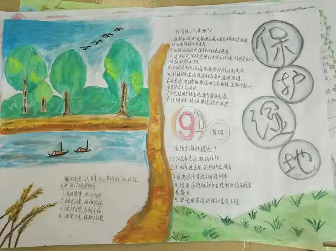湿地保护一手抄报 演丰中学