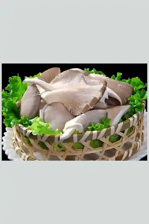 平菇美食高清图片