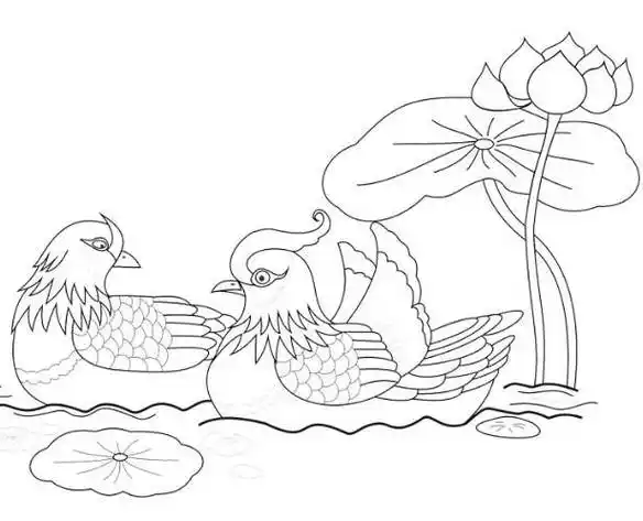 鸳鸯简笔画 水里的鸳鸯简笔画