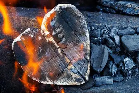火炭和燃烧的木头以人类心脏的形式存在.