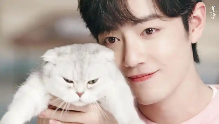 肖战|小鹿茶 - 堆糖,美图壁纸兴趣社区