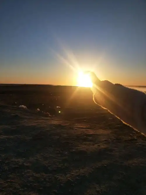 妈妈说早晨旭旭升起的太阳就和现在的我一样是那么灿烂.