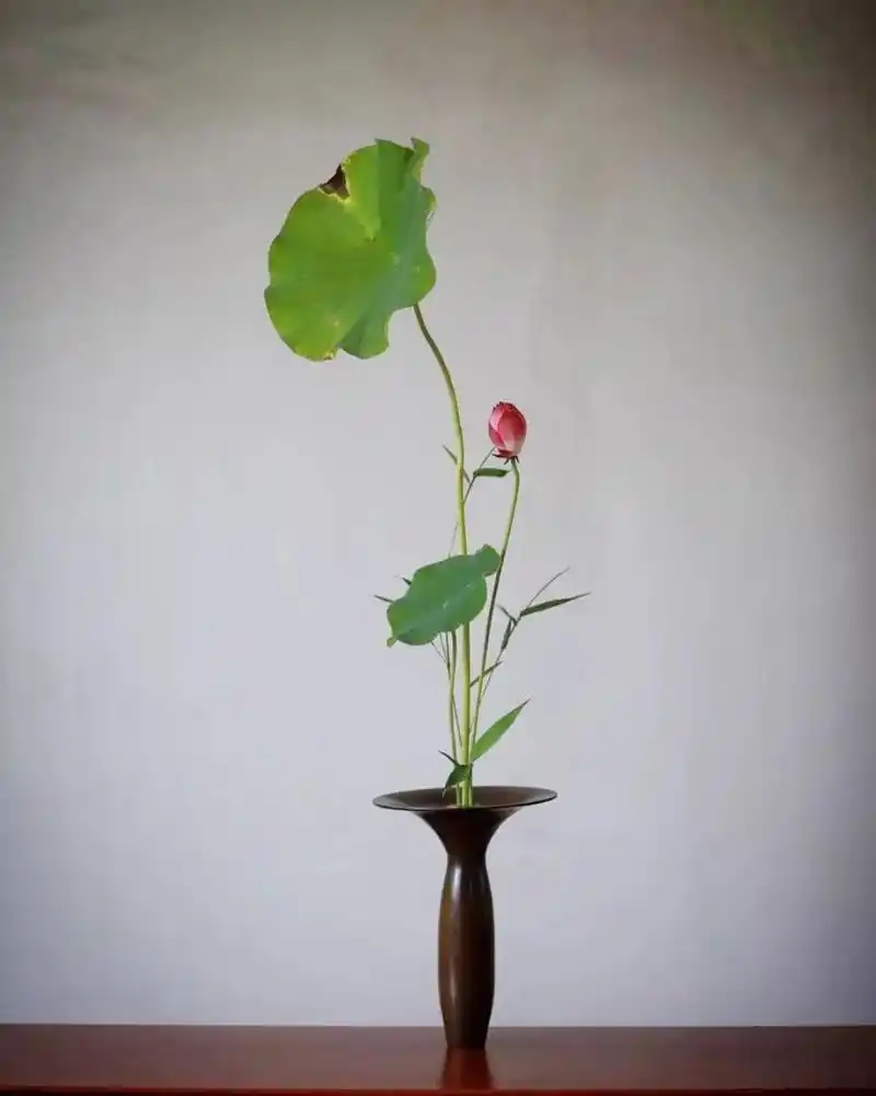 日本花道,把禅意表现得唯美至极,这三大代表流派你了解多少?