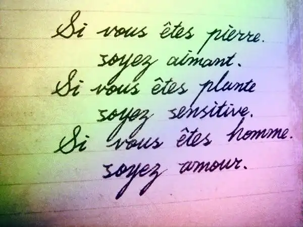 求这张图上的法语和中文翻译