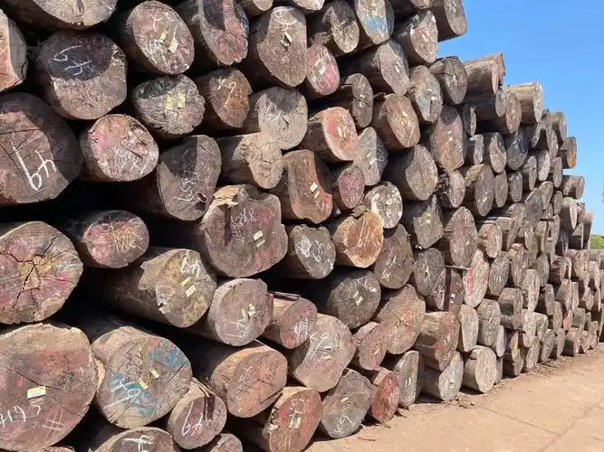 eug水胶木材所罗门水胶木柱子木料 水胶原木木材 水胶木板材