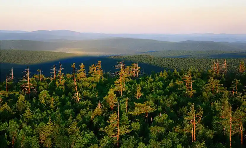内蒙古大兴安岭重点国有林区游旅发展侧记