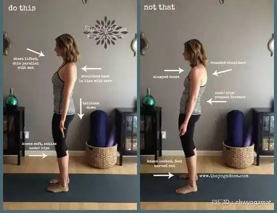 站山式在瑜伽练习里到底有多重要?