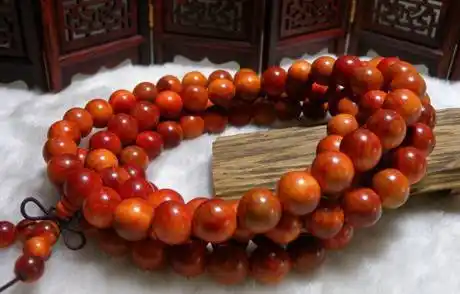 学会血龙木的鉴别自己就能判断血龙木的好坏