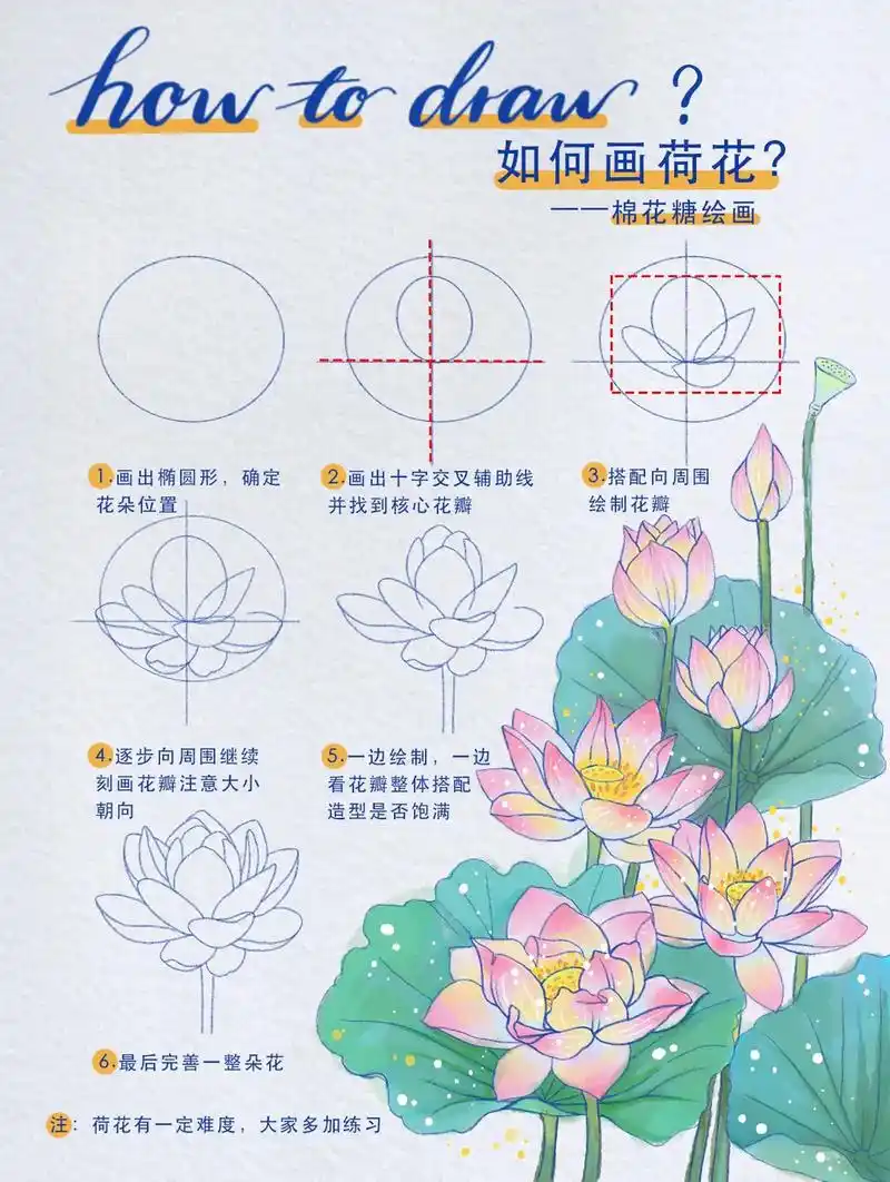 如何画荷花?绘画教程 #ipad绘画 #画画其实很简单 #绘 - 抖音