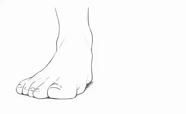 脚的画法!教你画出一双好看的jio,步骤全解