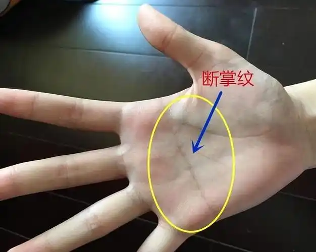 什么是断掌?"断掌一条线,富贵不相欠",老话这样说是什么意思