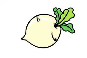 白萝卜简笔画颜色