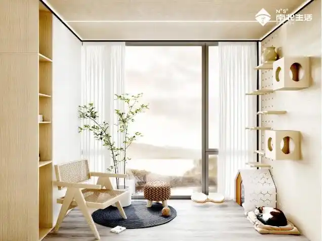 阳台猫舍 和宠物一起愉快玩耍小妙招