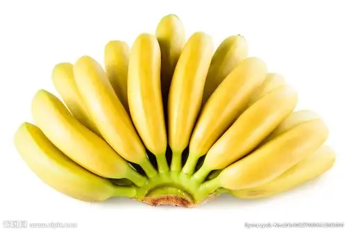 香蕉摄影图__水果_生物世界_摄影图库_昵图网nipic.com