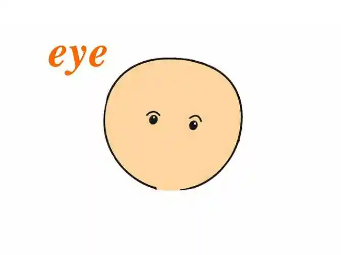 人教pep版三年级英语上册unit2lookatme34ppt下载