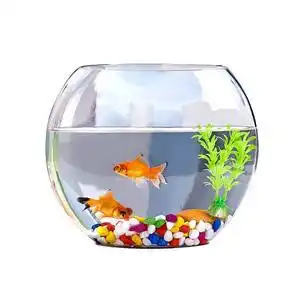 【圆形迷你小圆鱼缸水族箱图片】圆形迷你小圆鱼缸水族箱图片大全_q友