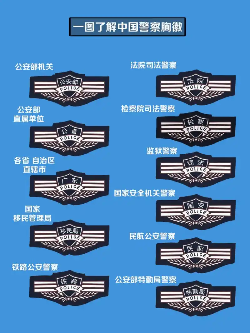 一图了解中国警察胸徽#警察