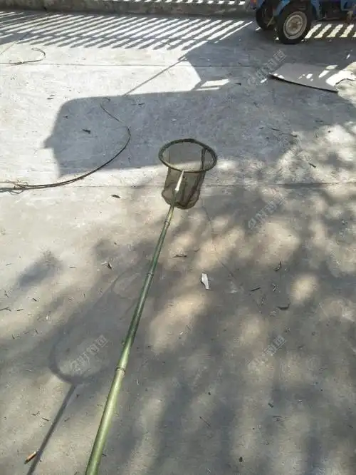 新年diy之二:竹子抄网