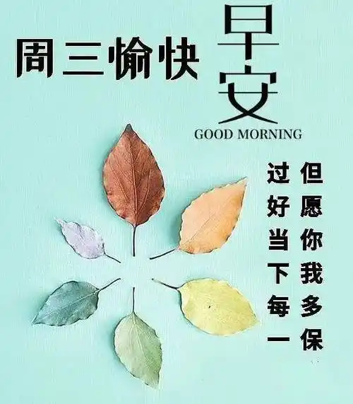 11月15日周三早上好,暖心的冬日早安问候语唯美图片带字祝福,周三愉快