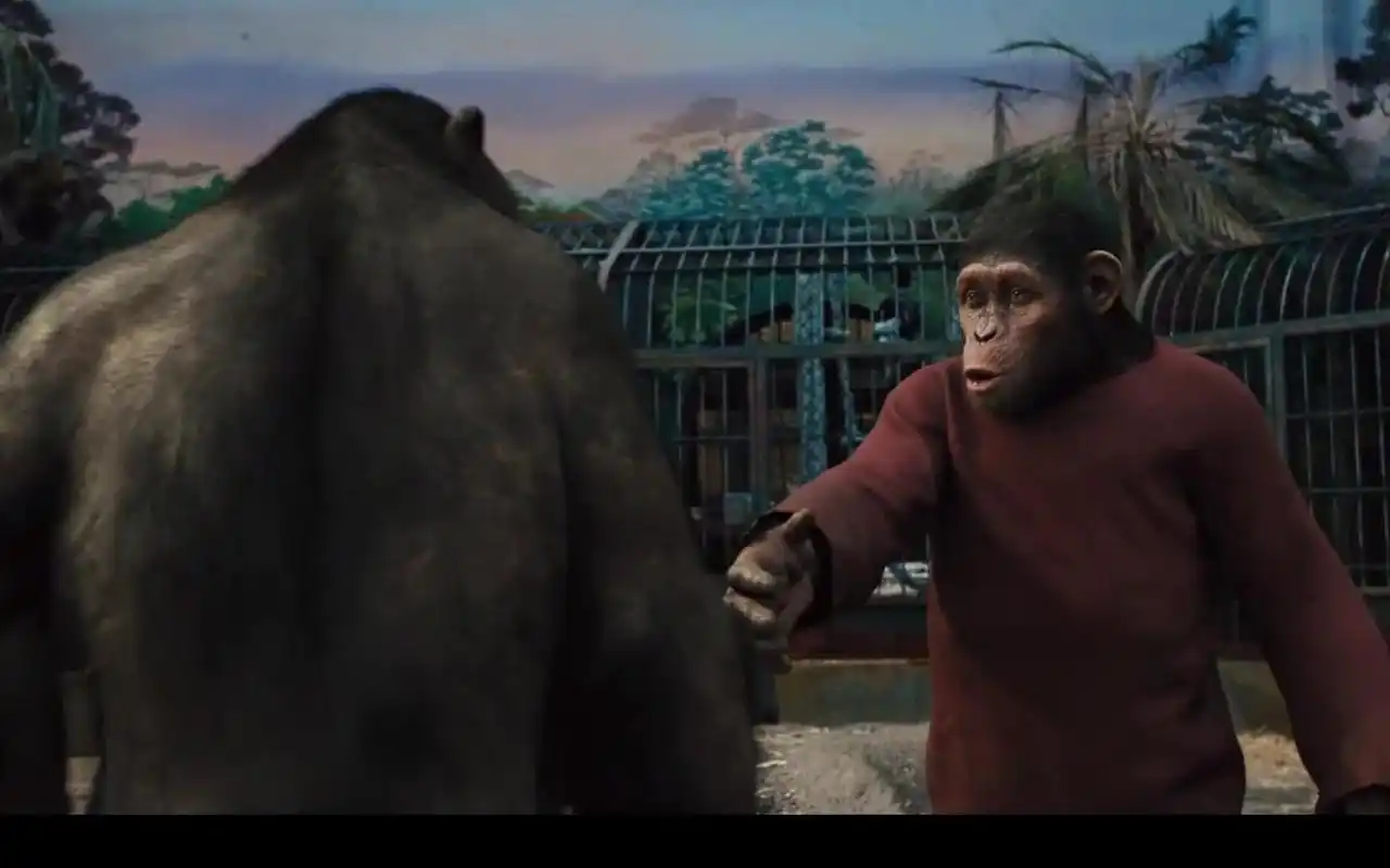 猩球崛起凯撒刚来收容所就被其它猩猩欺负