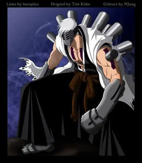 死神人物卍解合集(已知虚化解的有两人)(3)