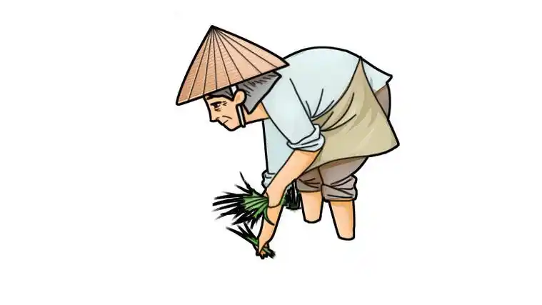 农民插秧简笔画怎么画