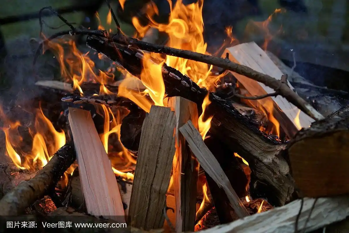 篝火中燃烧的木头