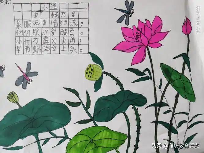 古诗配画「宋」杨万里《小池》:小荷才露尖尖角,早有蜻蜓立上头