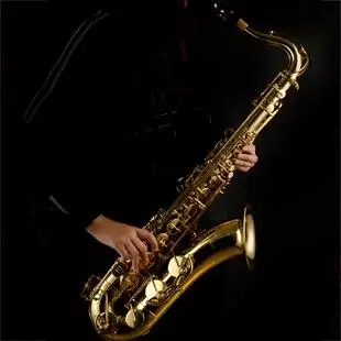 克莉丝蒂娜cats 次中音萨克斯 e100g 漆金 降b调萨克斯