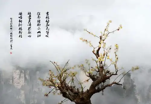 其它 咏梅 写美篇        【宋】王安石         墙角数枝梅,凌寒独自