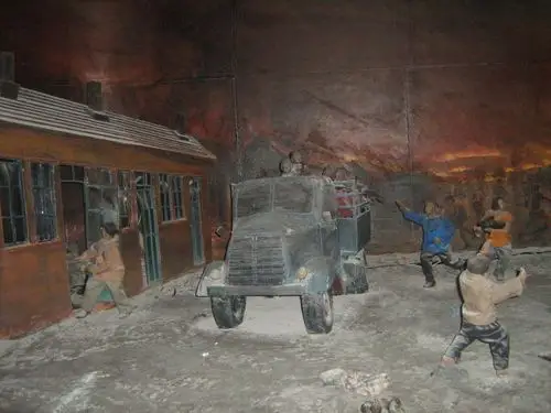 5·6大兴安岭森林火灾