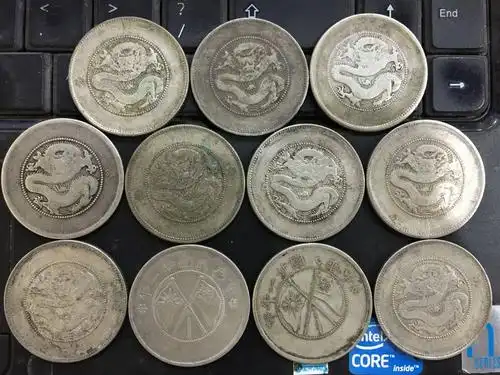 推荐 好品云南半圆龙 21个