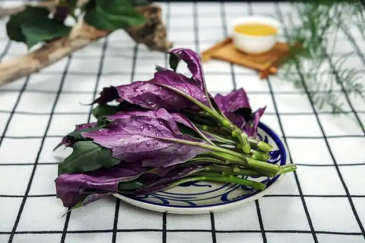 红凤菜到底能不能吃(红凤菜能生吃吗) - 风集网