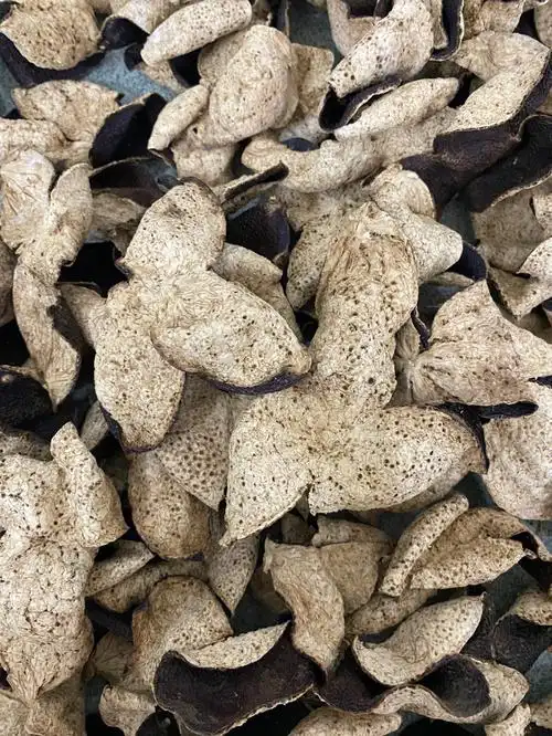 新会陈皮一两陈皮一两金