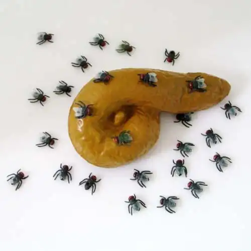 愚人节整人玩具仿真6字大便详细介绍