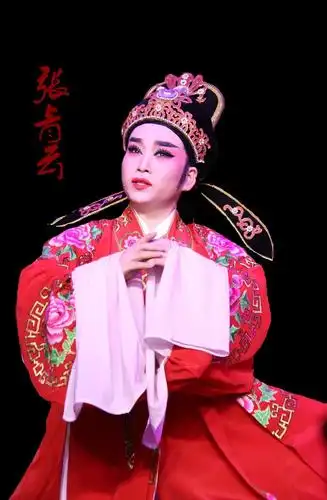 莲之恋(熊莲芬的戏曲人生)