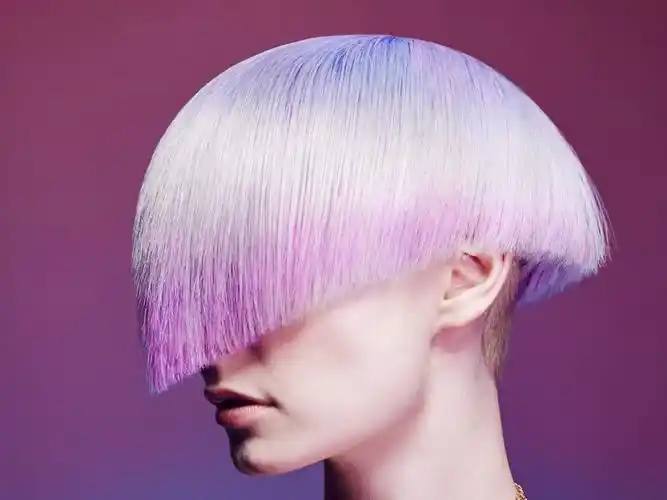 创意发型 - 2015 澳洲 hair expo 美发大赛 年度最佳沙龙团队/年度