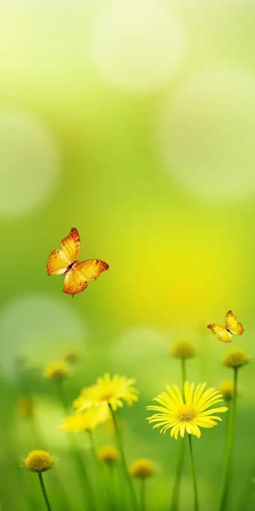 简约时尚清新淡雅的手机壁纸