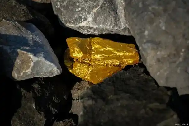 金矿石之生物氧化工艺