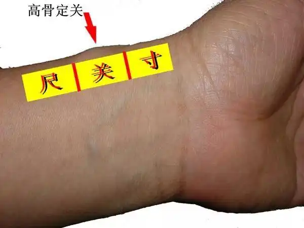 把脉的正确方法一分钟学会把脉