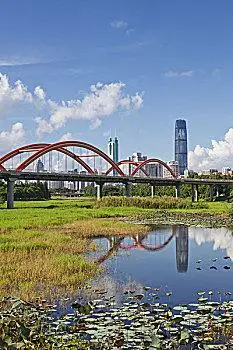 深圳市罗湖区洪湖公园景色