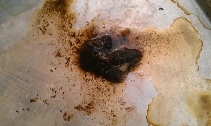 小乌龟生病了,排泄出的粪便不正常,有图.在线急求.请高手指点!谢谢