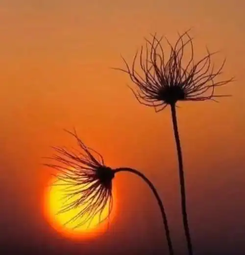 只要心存善念,心向阳光,美好的东西一定会找你?