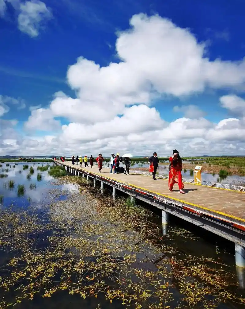 若尔盖花湖 .若尔盖花湖生态旅游区位于阿坝藏族羌族自治州若 - 兑趑