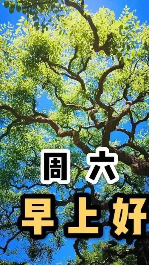 星期六清晨最暖心的早安祝福句子,周六早上好祝福文字图片精选